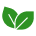 Té Verde